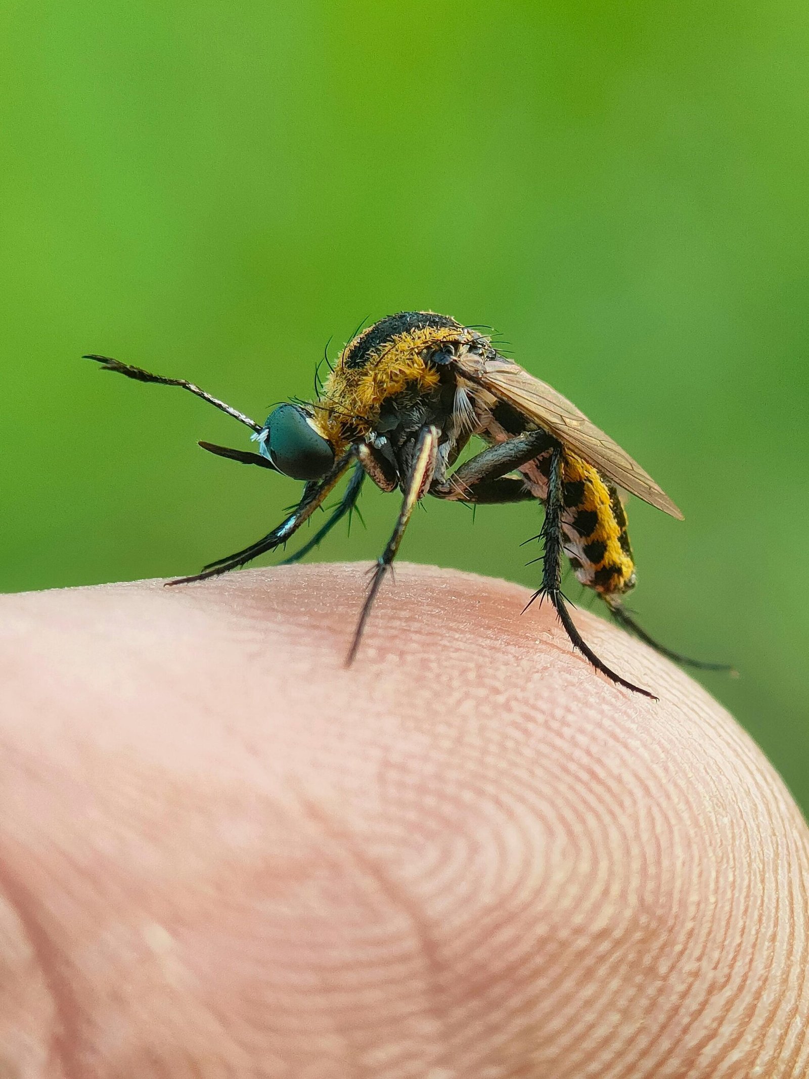 devoluciones reclamos micro