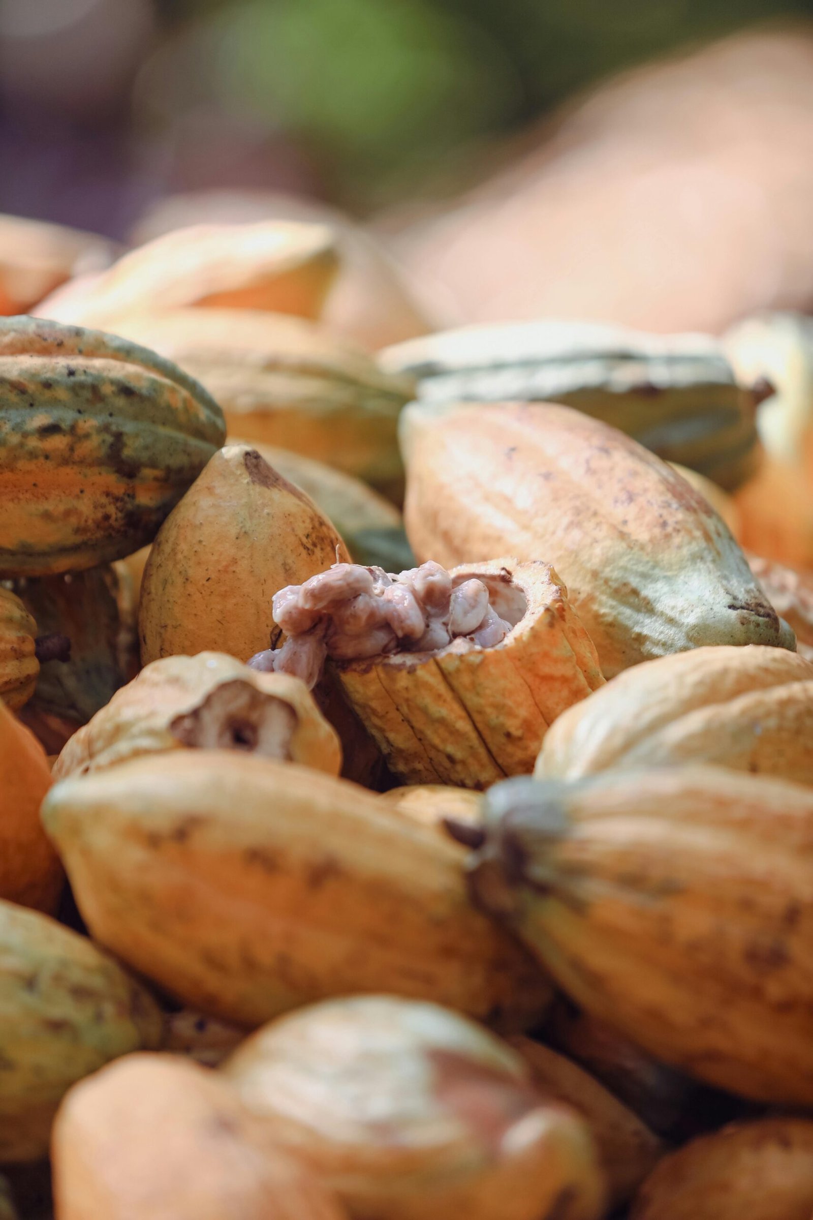 habitos evitar presion gastos consumo