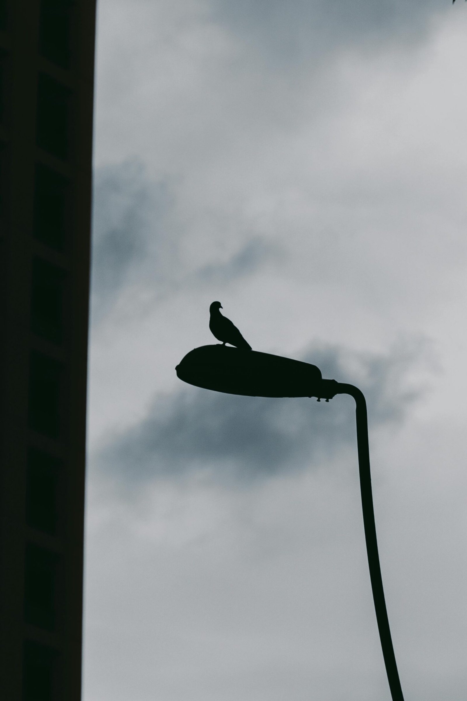 herramientas utiles emprendedores novatos