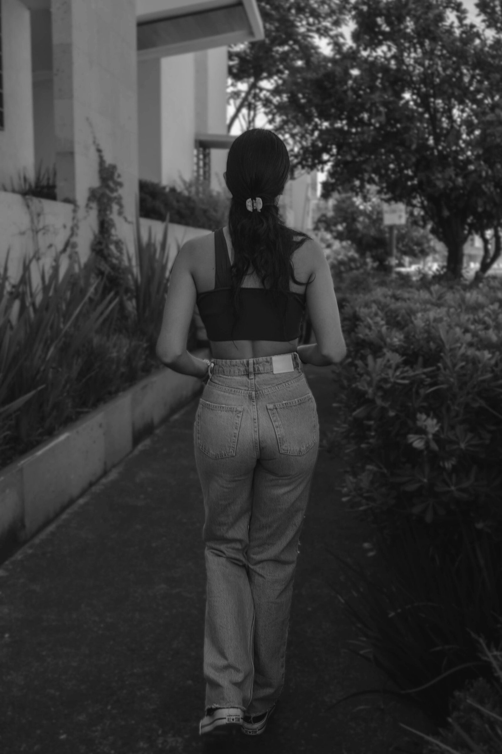 pedir ayuda mentores expertos