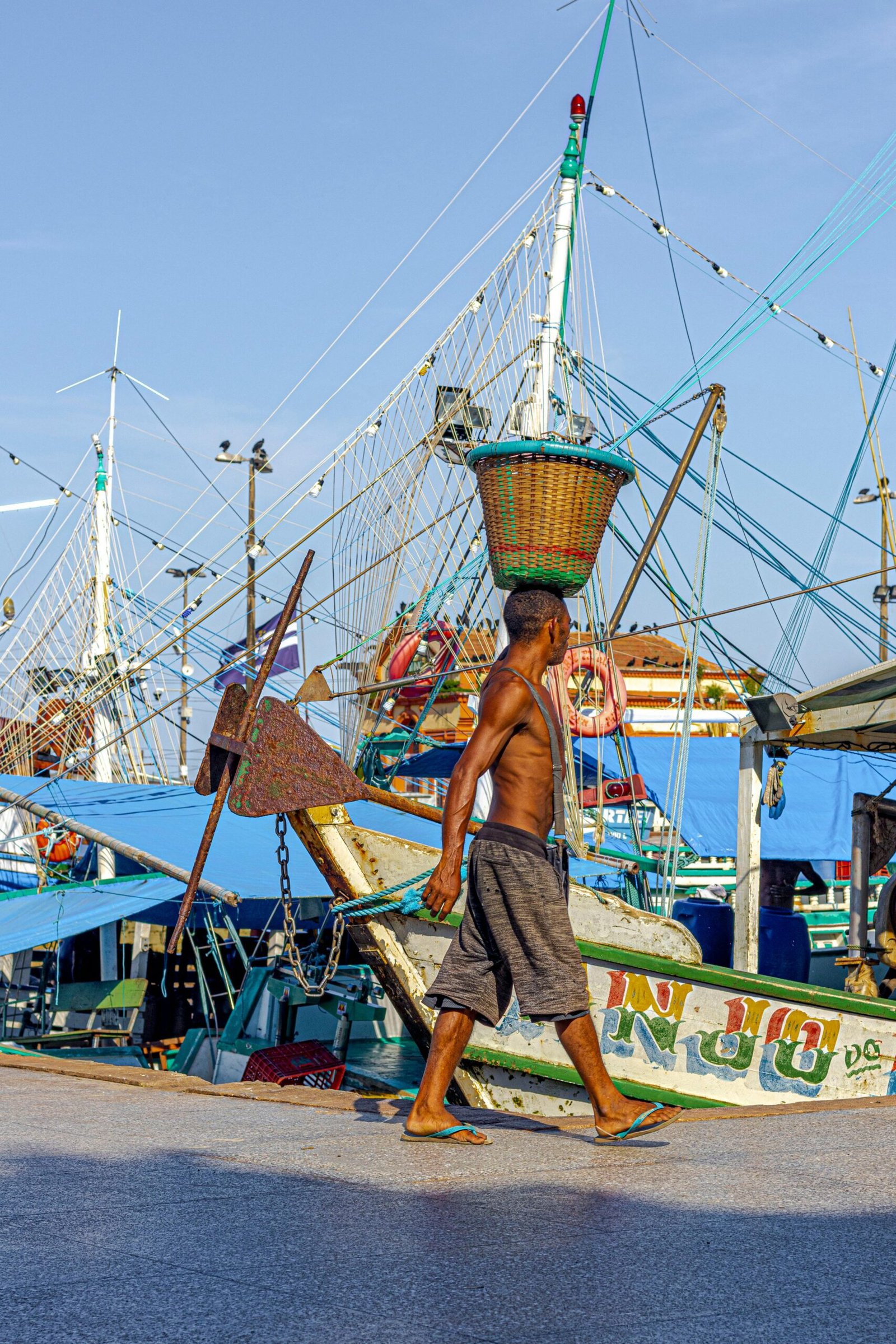 revisar cuentas cargos