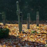 mantener motivacion progresos diarios 50