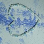 microprogresos diarios 6