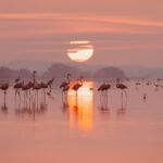 motivacion progresos diarios 39