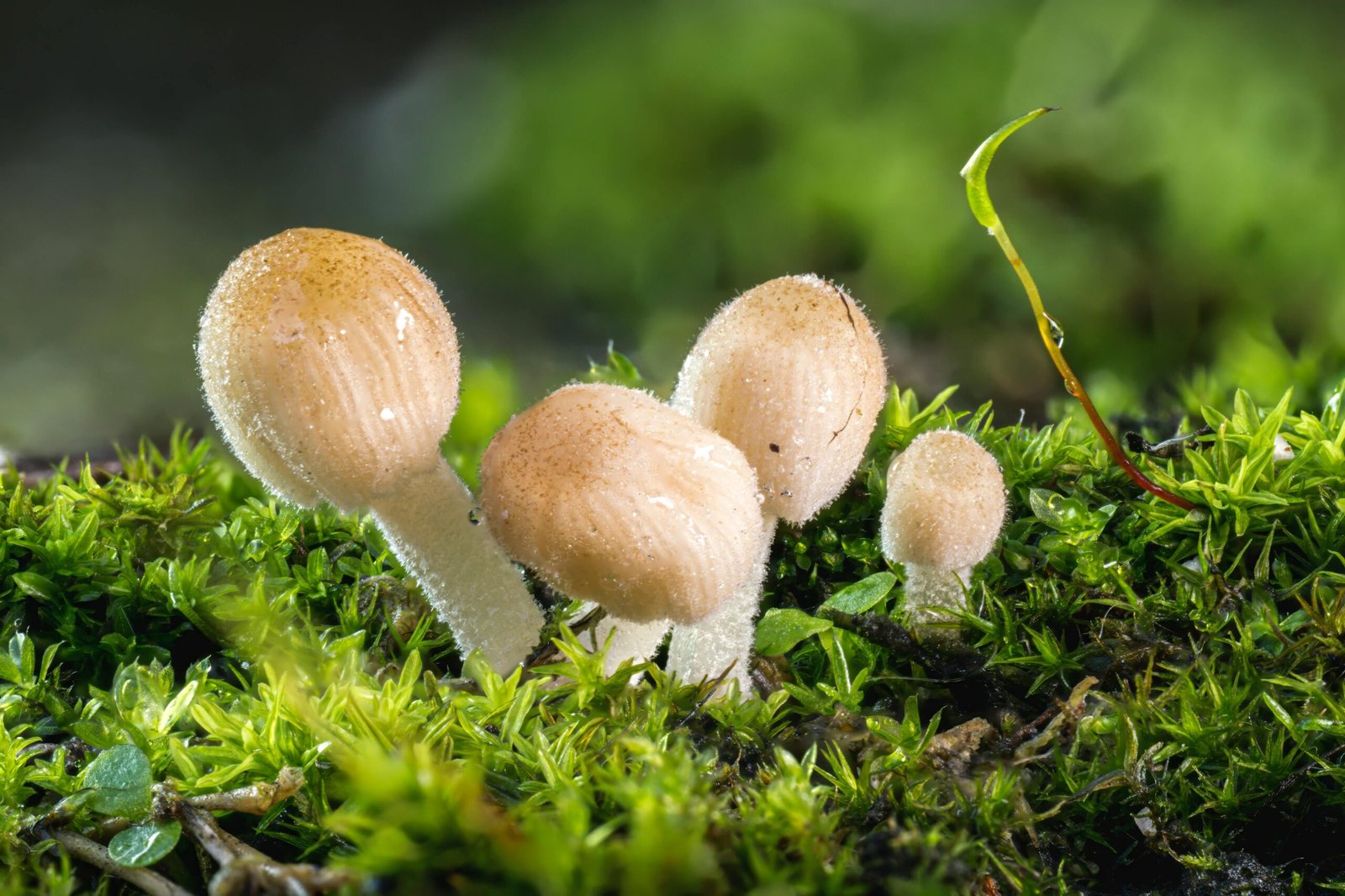 motivar progresos diarios 5