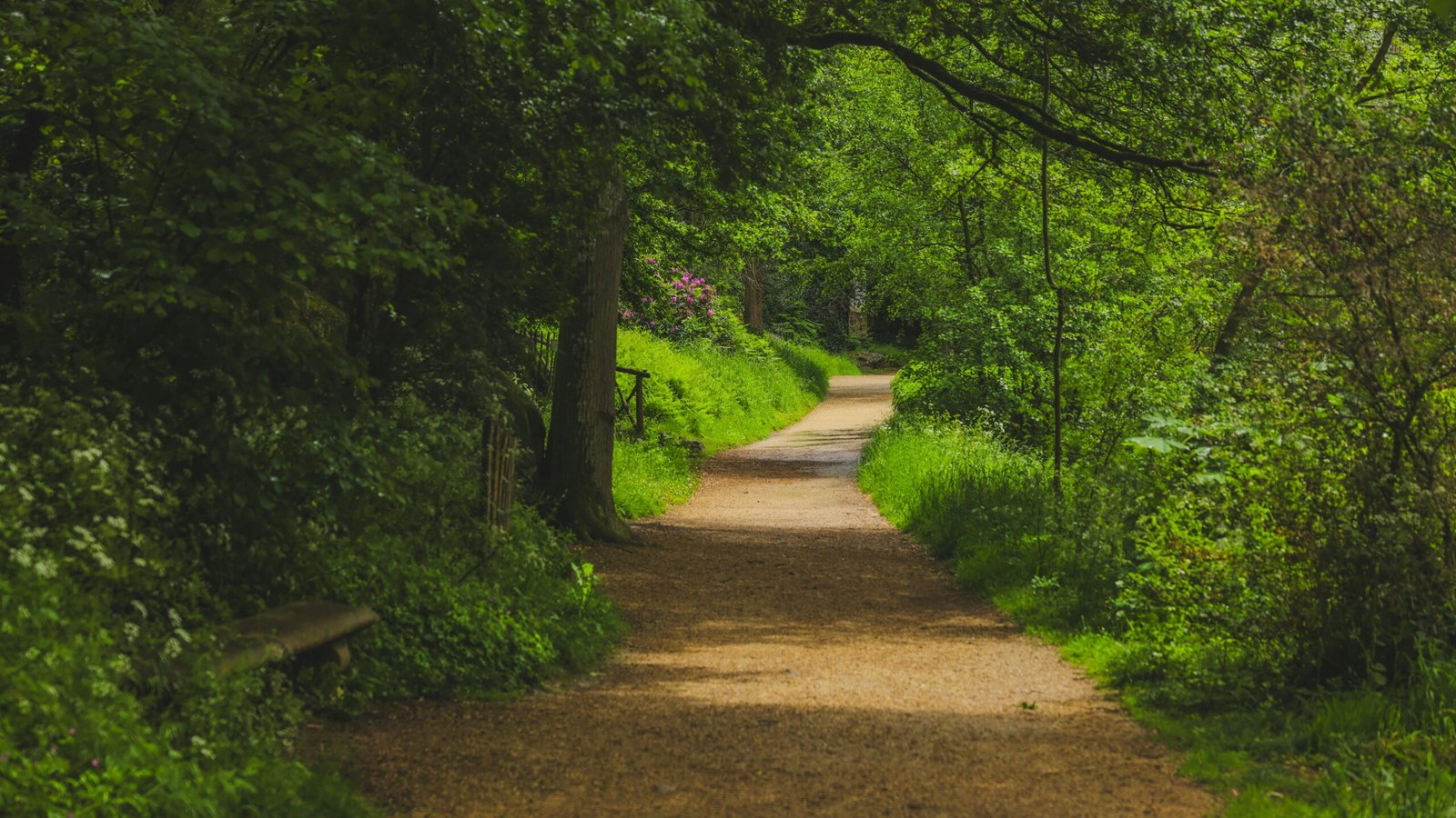 progresos diarios motivacion 5