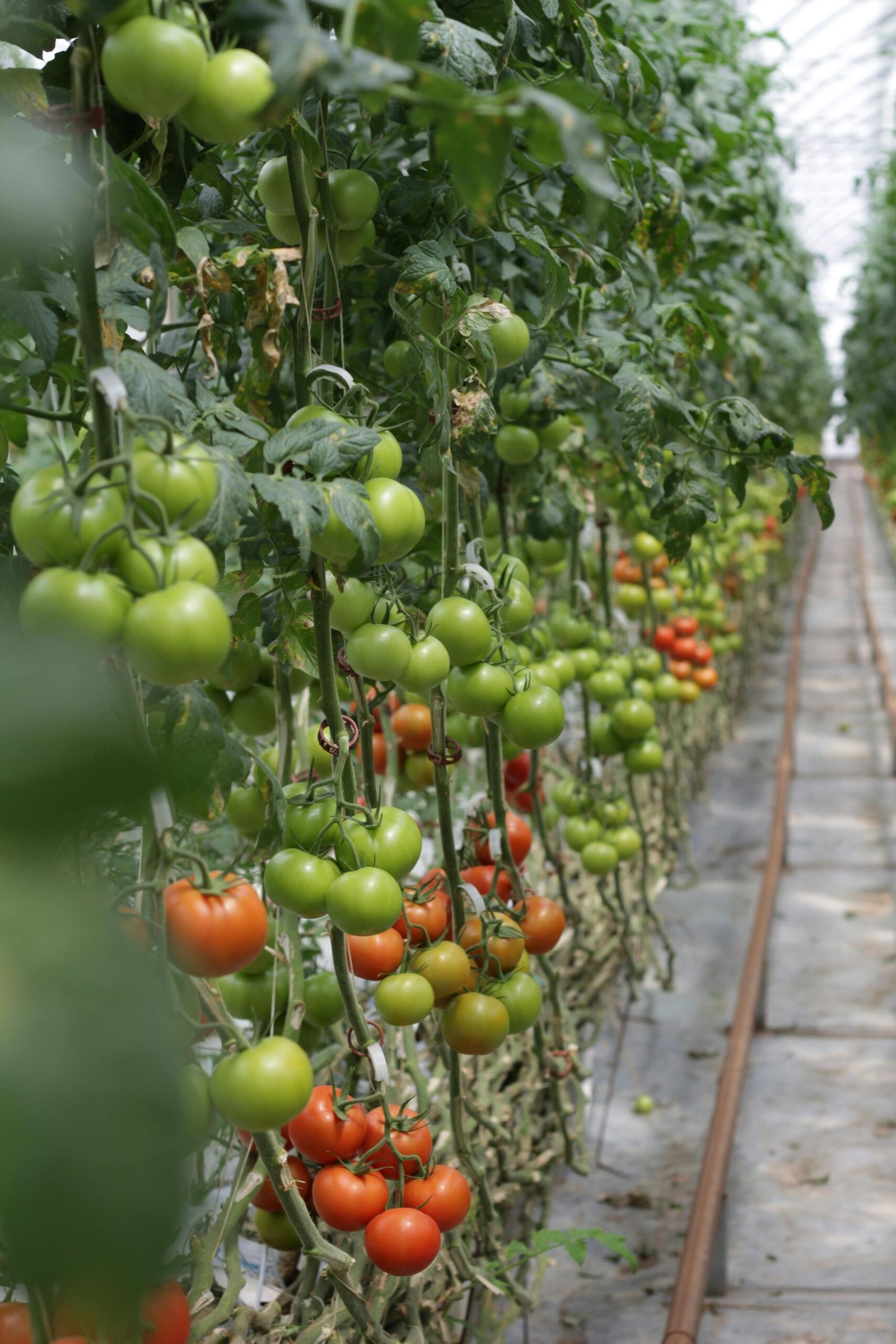 motivacion progresos diarios 86